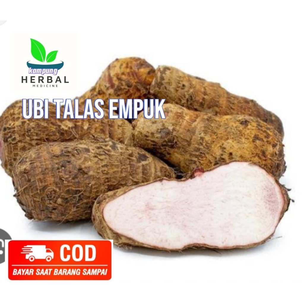 

umbi talas empuk 1kg