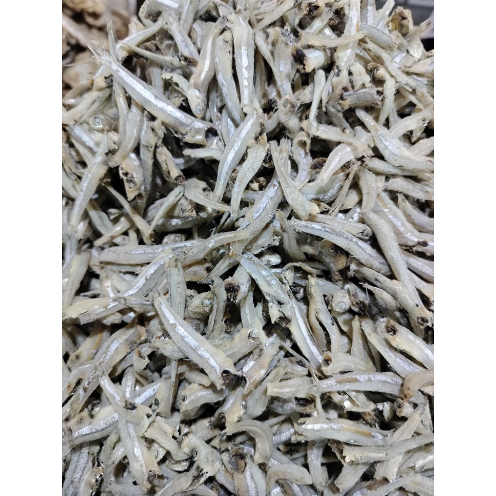 

TERI JENGKI ♛ Bersih tanpa kepala kualitas premium