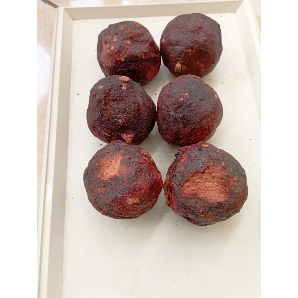 

Gambir maha bulat kecil