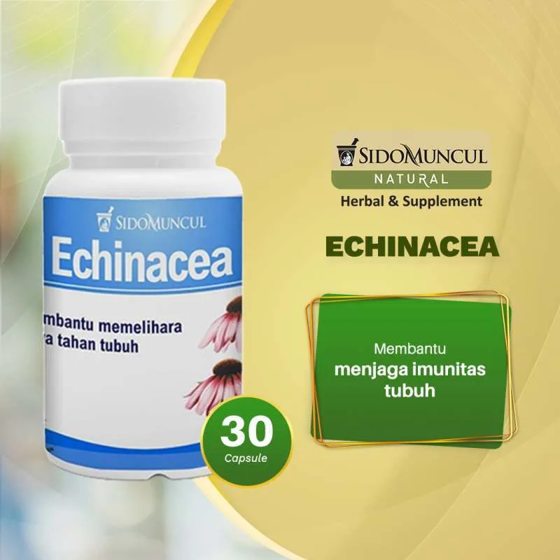 Echinacea Sidomuncul isi 30 kapsul