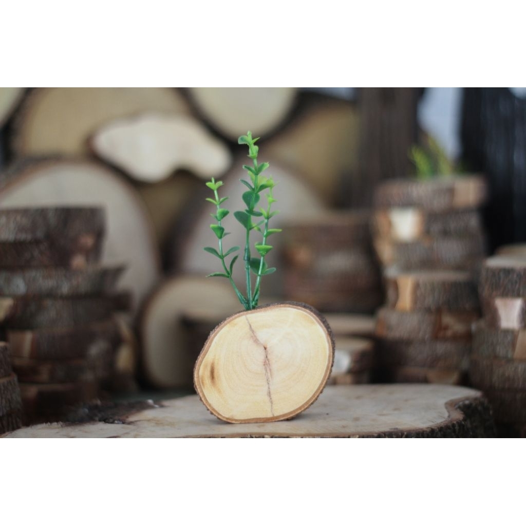 vas pot bunga mini minimalis dari kayu asli hiasan rumah pajangan rumah