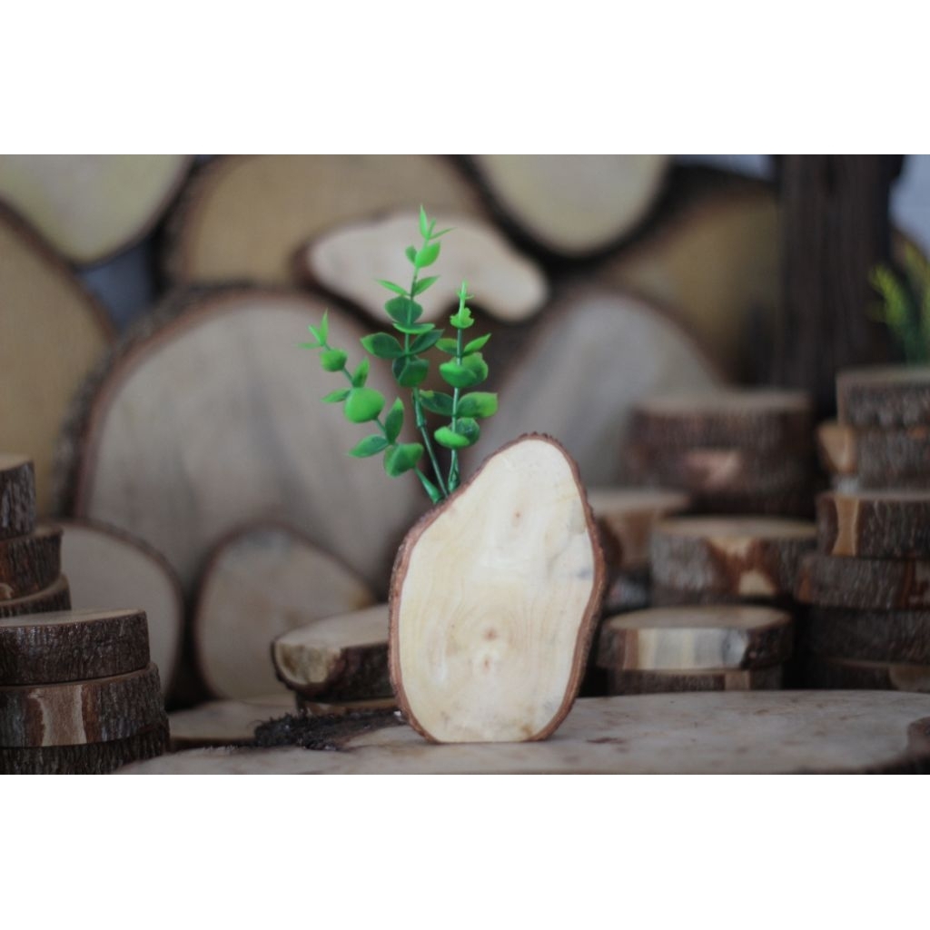 vas pot bunga mini minimalis dari kayu asli hiasan rumah pajangan ruangan