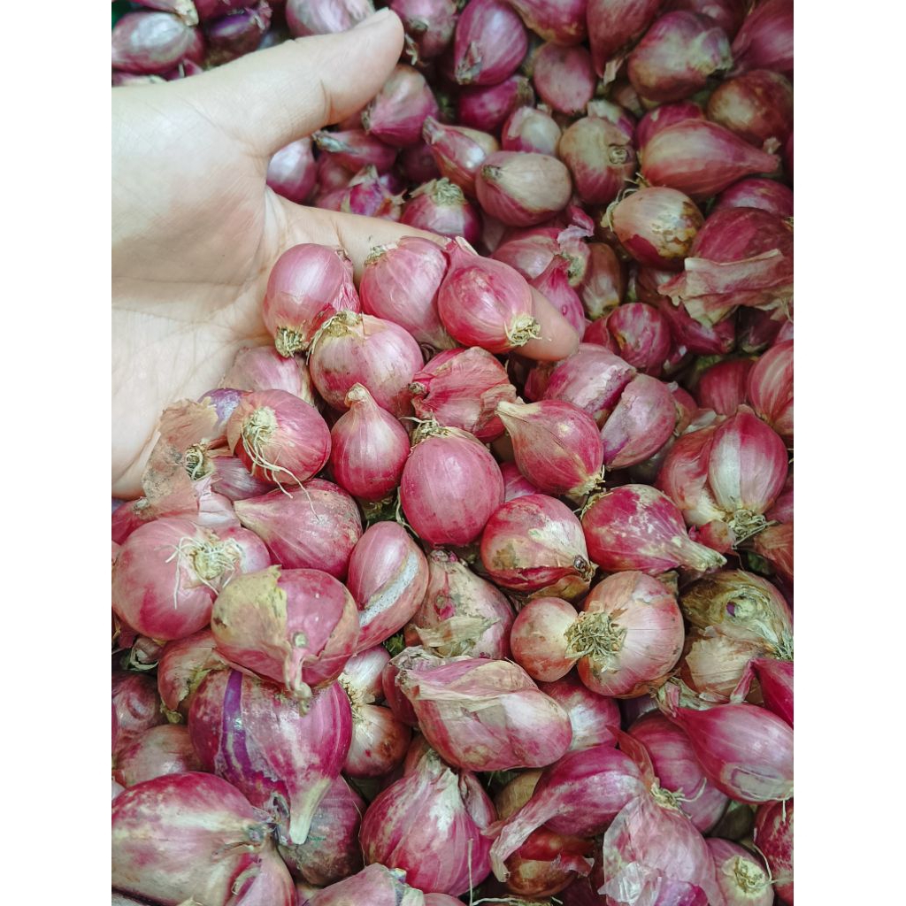 

BawangMerah1kg&500gramKeringdanSuper