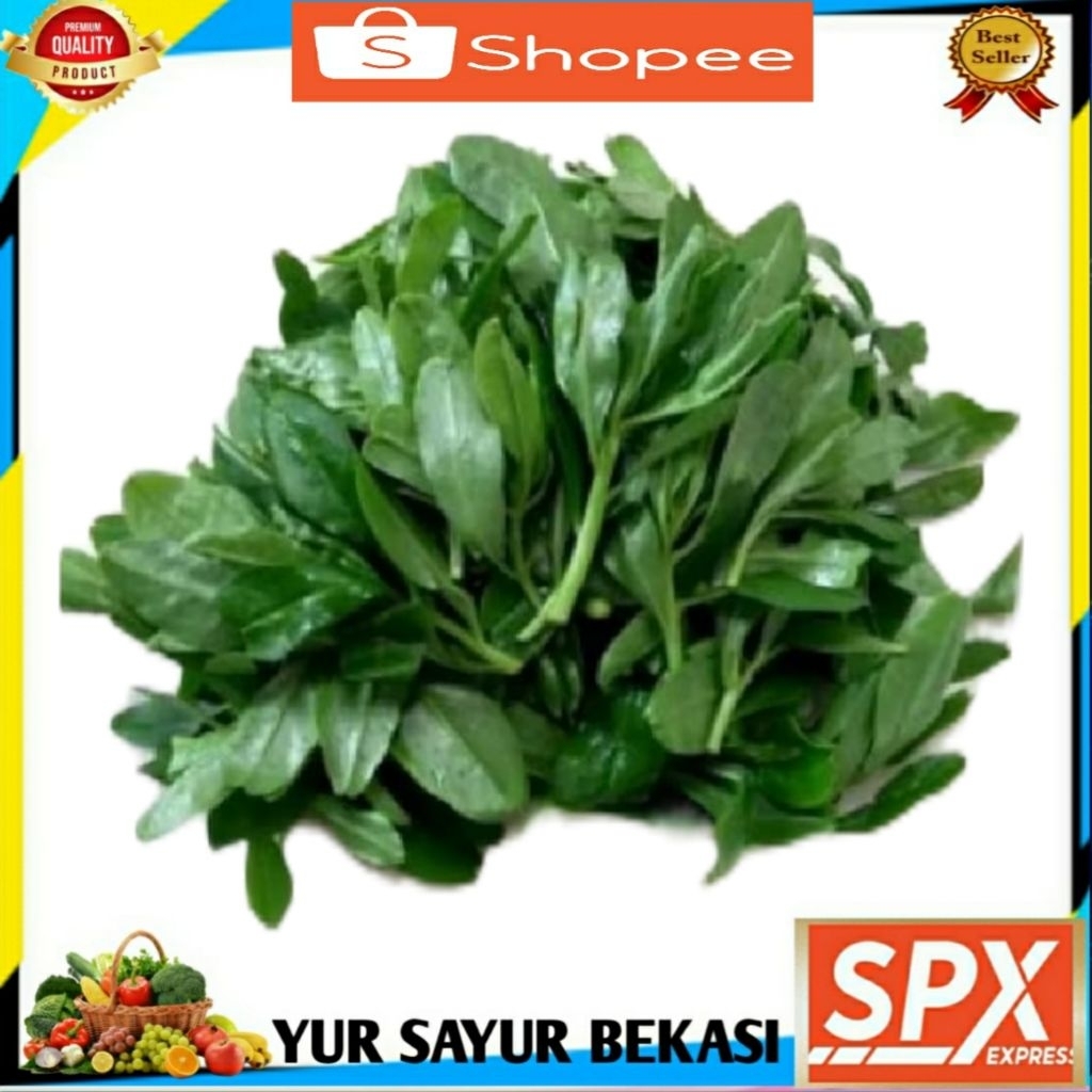 

Daun Ginseng/Gingseng 1 ikat.