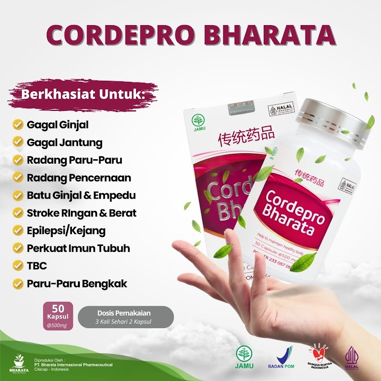 OBAT TBC PARU AMPUH - OBAT PARU PARU OBAT BATUK DAN SESAK NAFAS PALING AMPUH CORDEPRO BHARATA