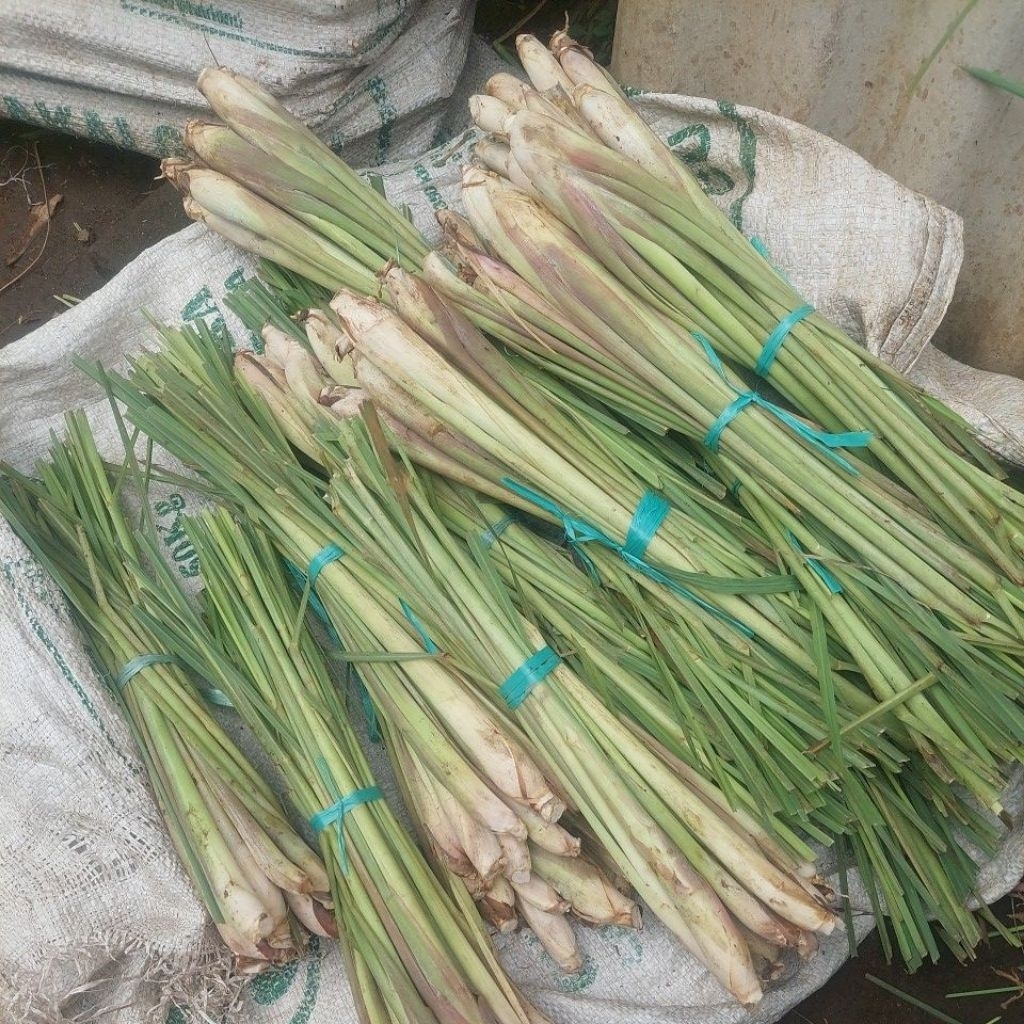 

serai sere serre bumbu masak soto rawon pedesan santen