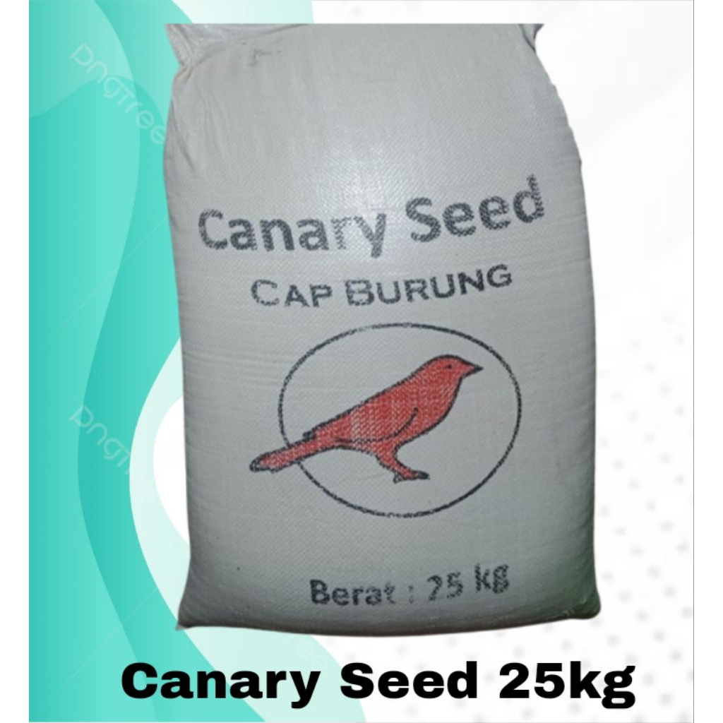 Canary Seed/ Kenari sat kemasan 1 sak / 25 kg