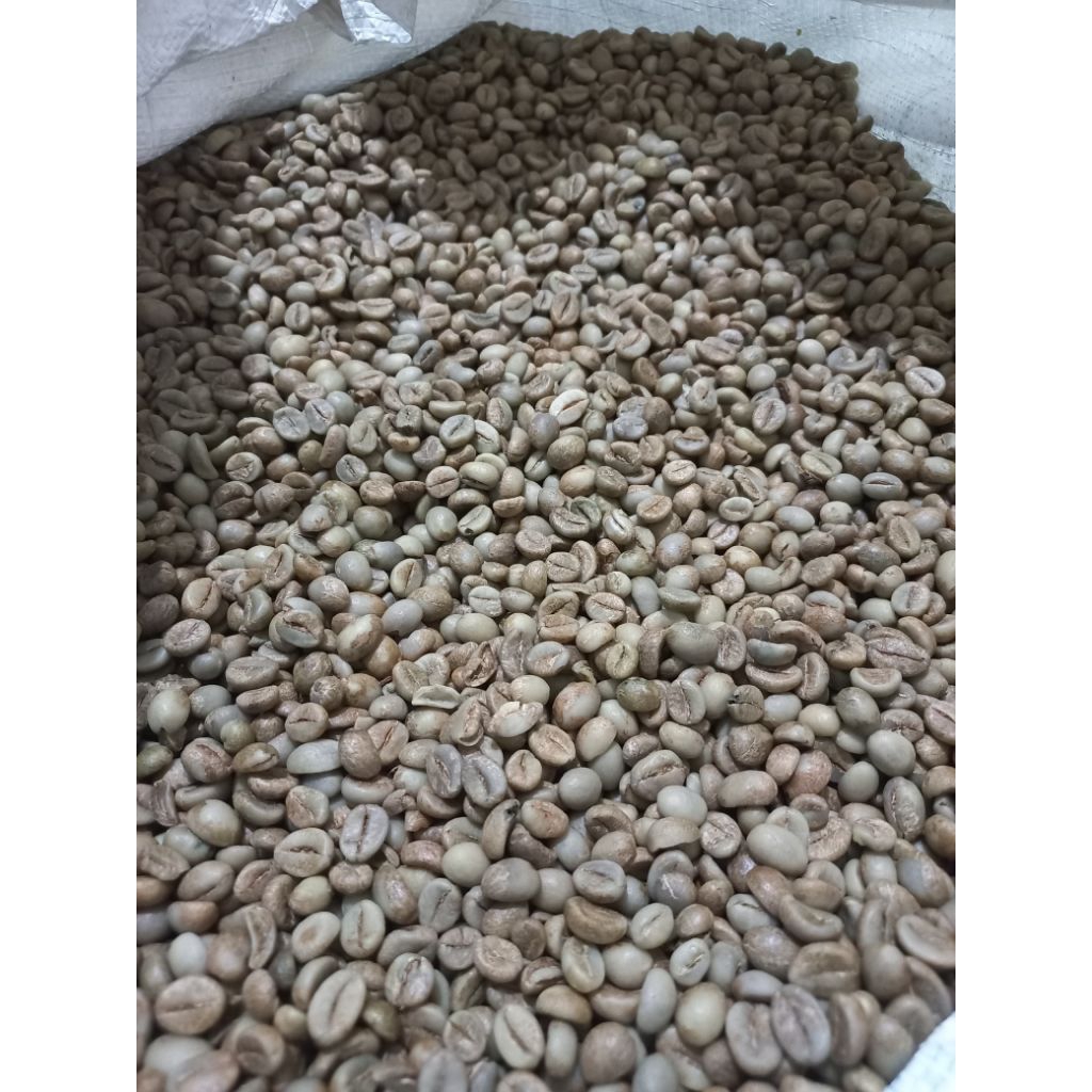 

Greenbean Asalan Robusta Temanggung 1kg