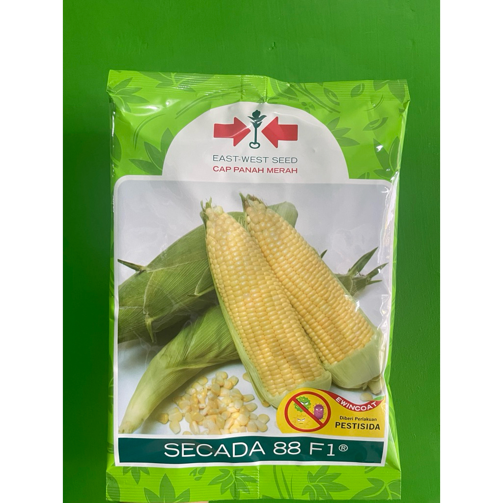 Benih Jagung Manis Scada 88 F1 200gr Cap Panah Merah Exp 2026