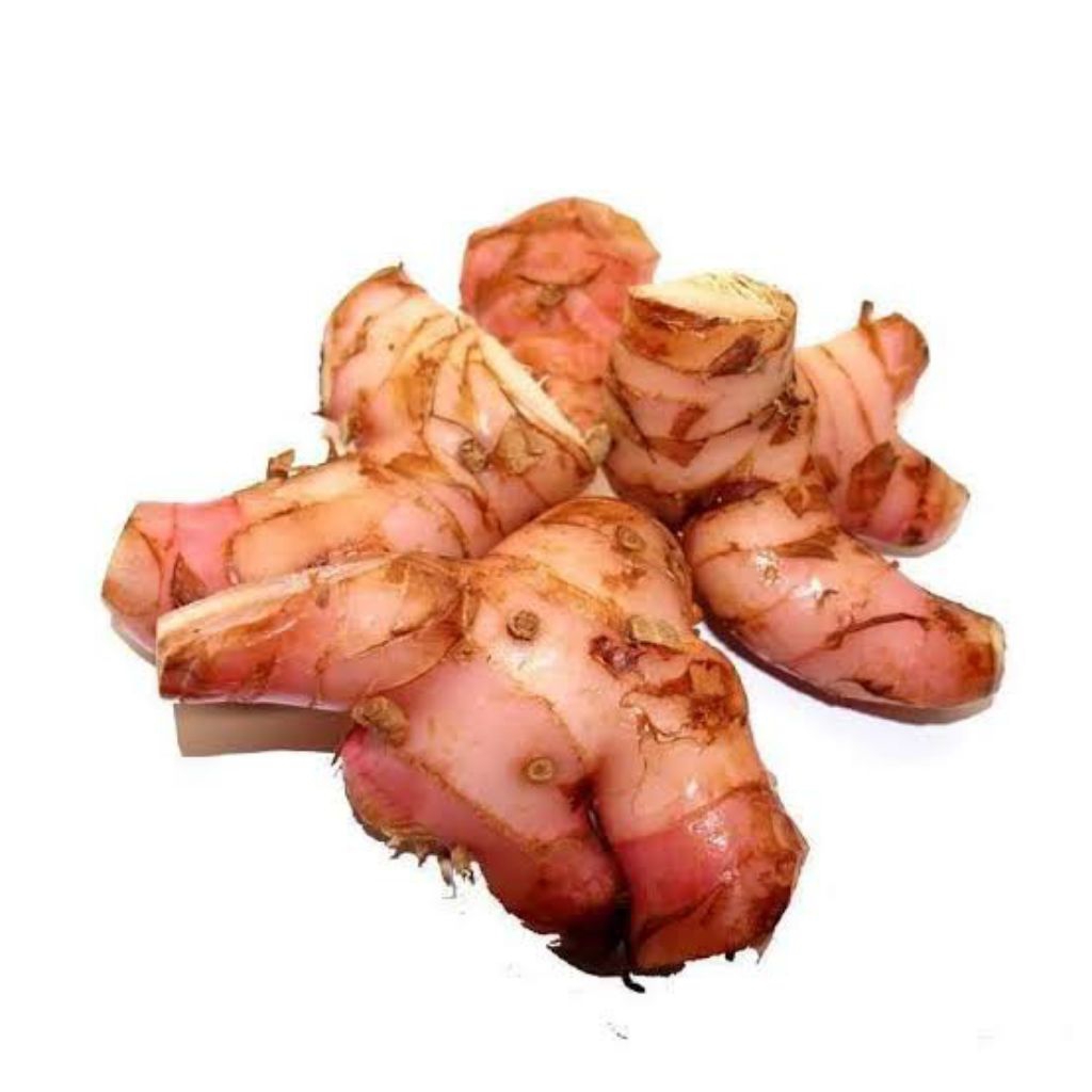 

LENGKUAS SEGAR ORIGINAL KEMASAN 250G