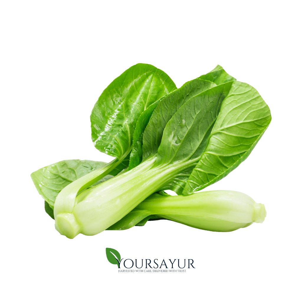 

Pakcoy / Bok Choy Segar | Fresh Pakcoy / Bok Choy | Sayur & Buah