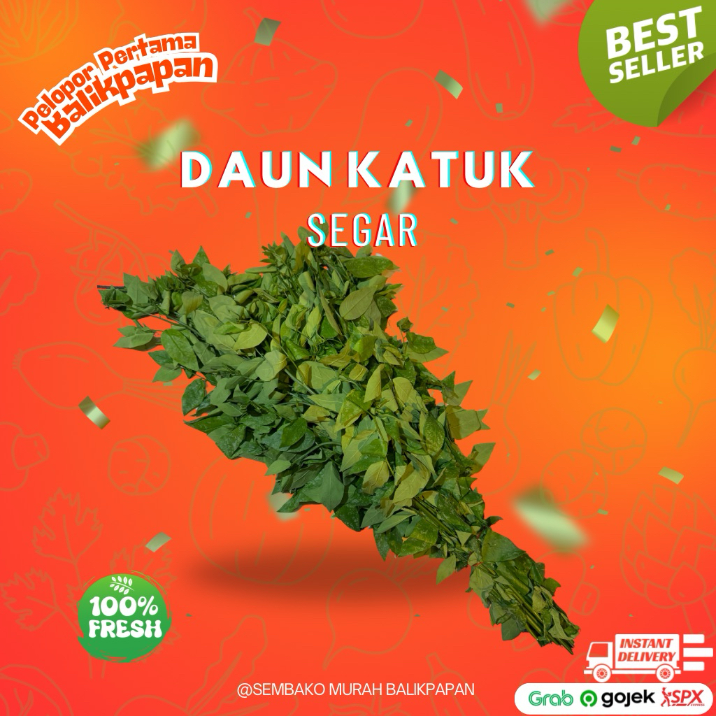 

sayur daun katuk