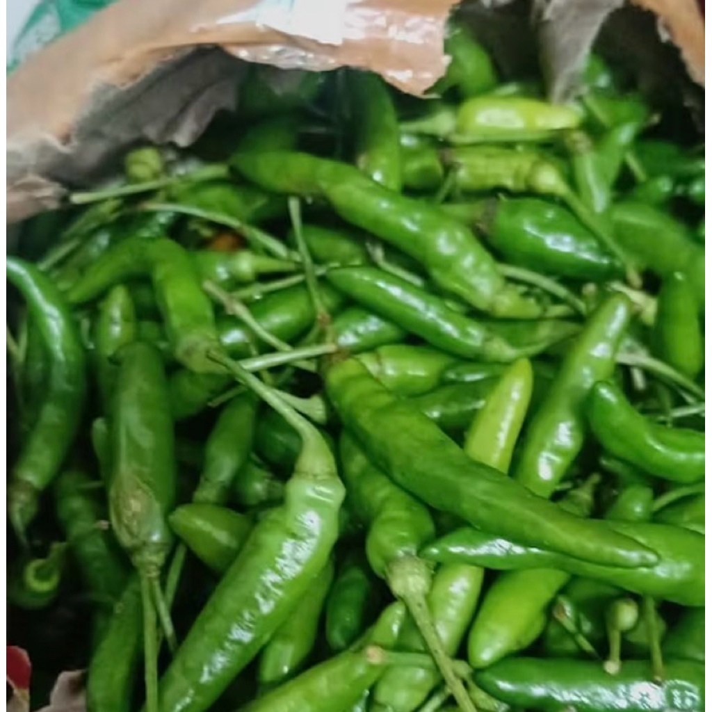 

Cabe Rawit Pedas Hijau 1000 gram / 1 kg