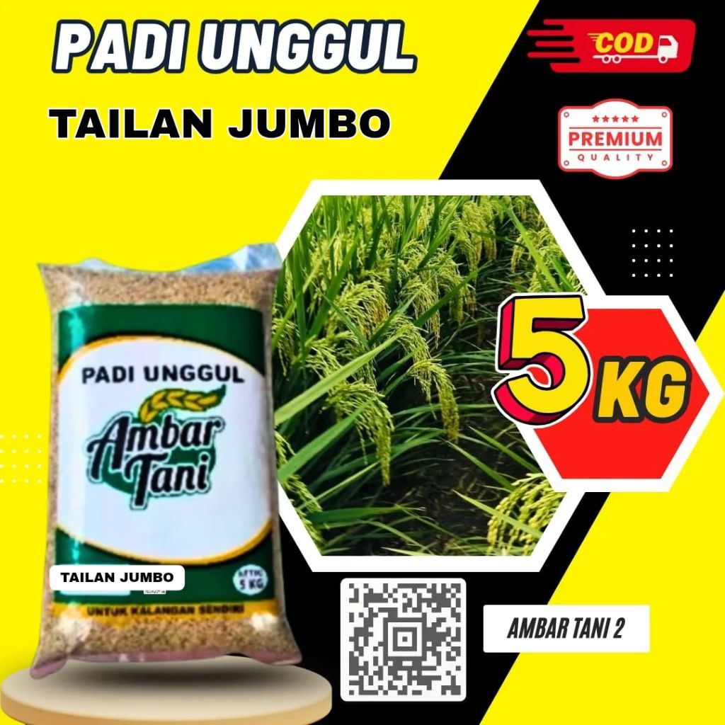 benih padi Thailand jumbo benih padi berkualitas super benih padi unggul dalam kemasan 5kg