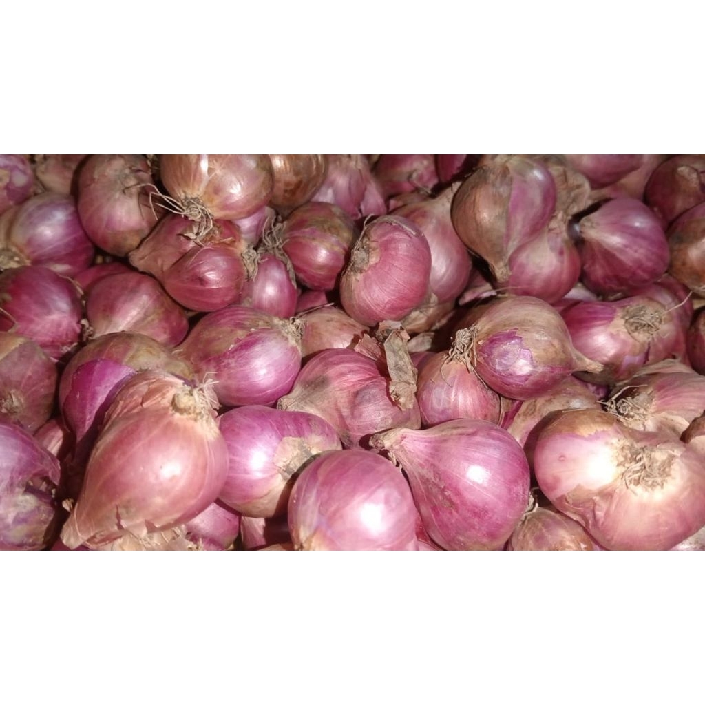 

BAWANG MERAH Fresh Bersih Murah Berkualitas 500 gr - 1 kg Ukuran Besar