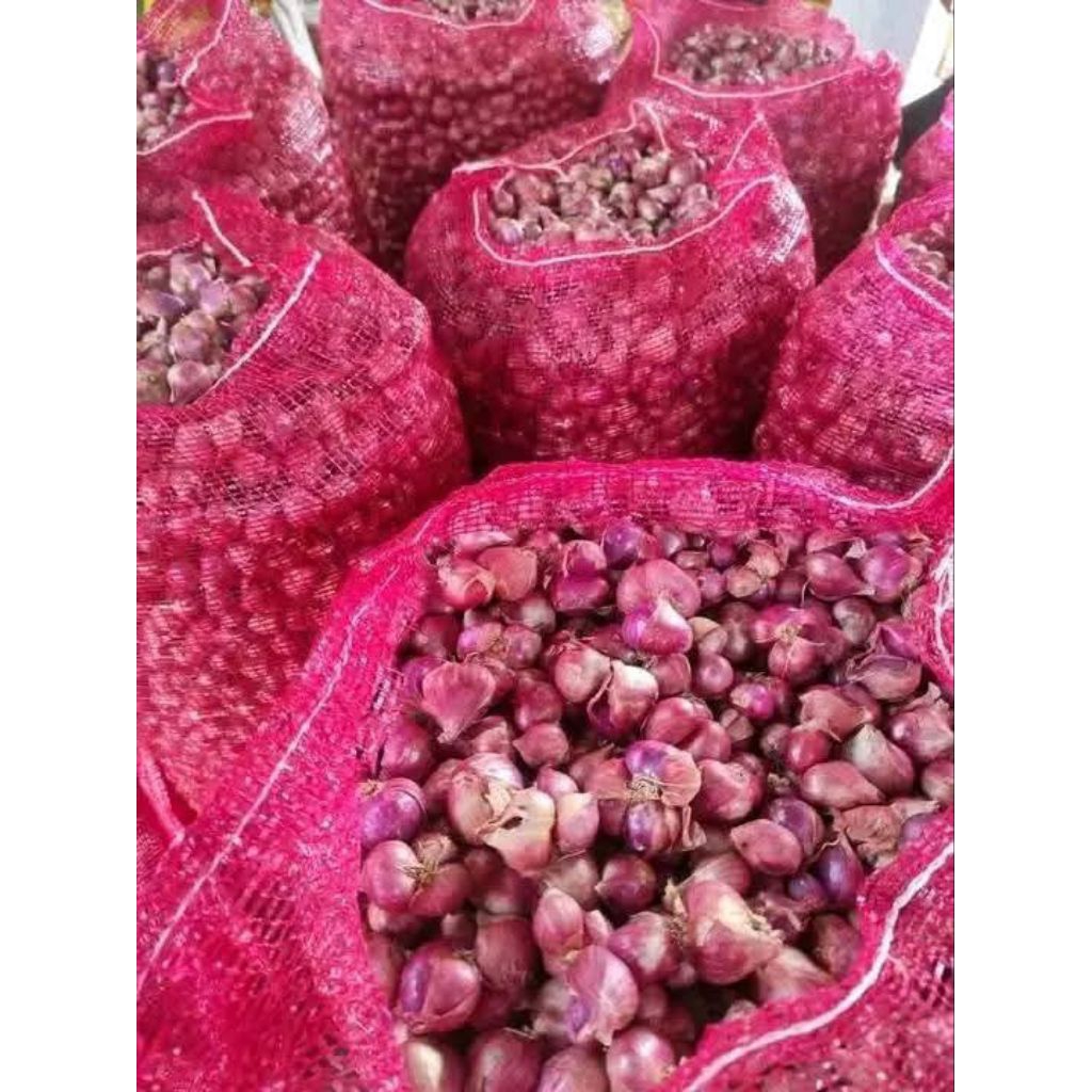 

Bawang merah kering kualitas super
