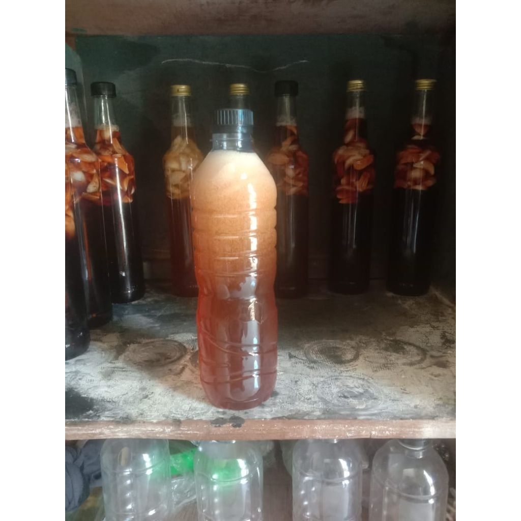 

Fermentasi_Madu+Bawang_Putih