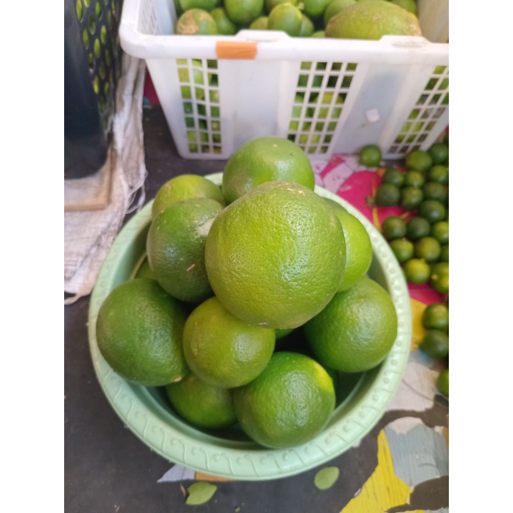 

1.kg jeruk lemon california hijau tua bagus segar dan fress langsung petik dari kebun