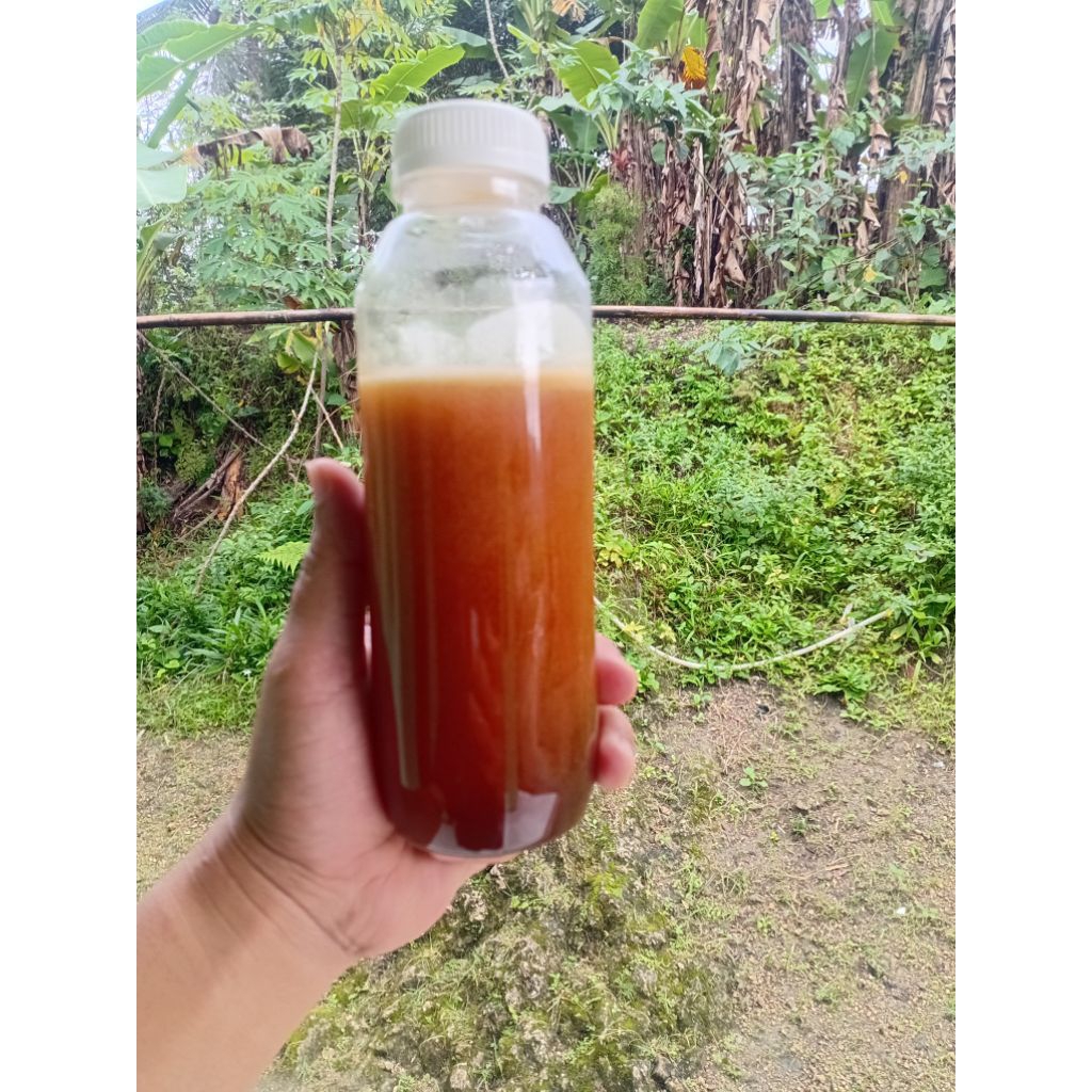 

Madu odeng 500 gr 1000% asli murni madu lebah hutan
