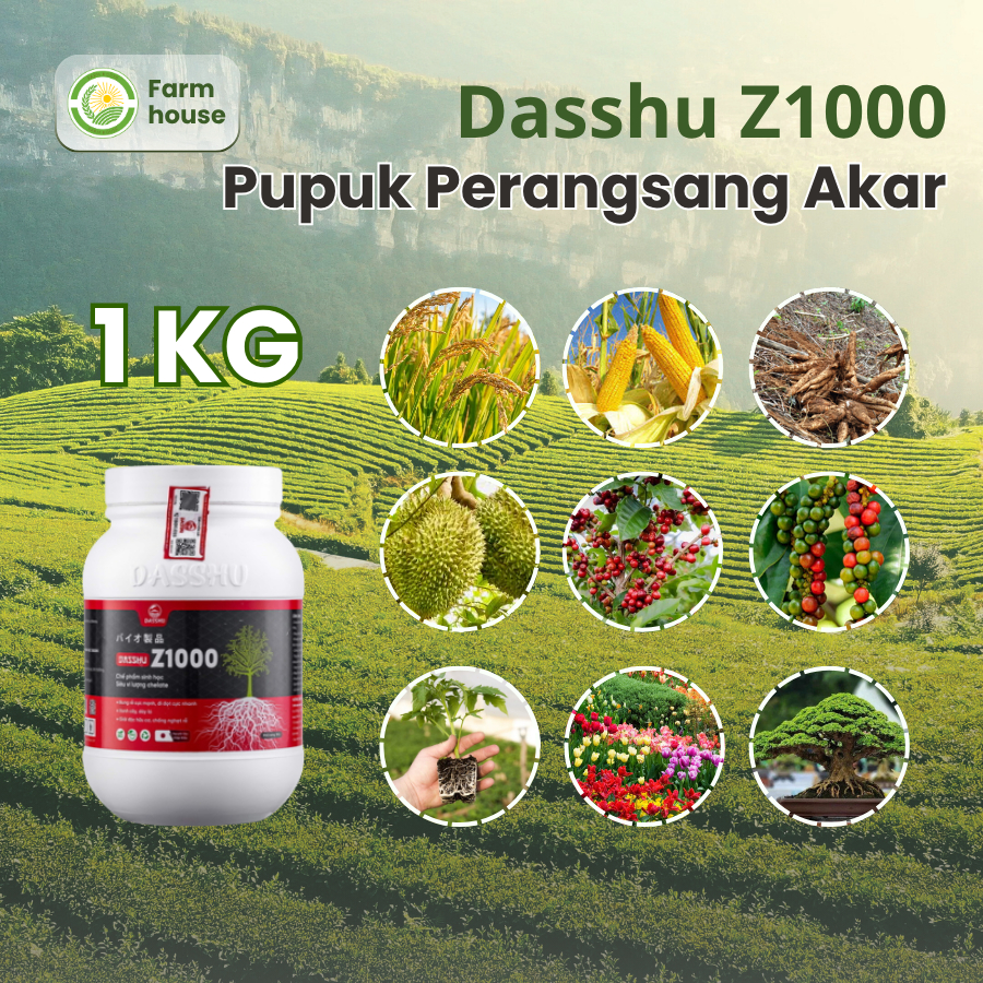 [1KG] Dasshu Z1000 Perangsang Akar Terbaik Cocok untuk Padi, Sayuran, Buah, & Tanaman Hias