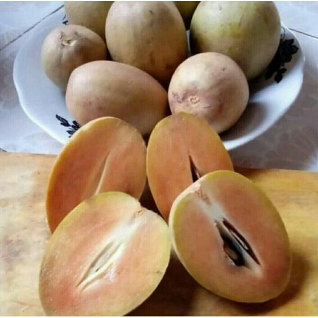 

PROMO 1KG SAWO SIAP MATANG SEGAR BERKUALITAS