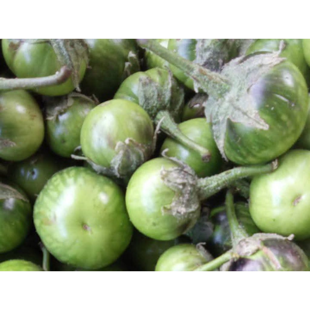 

Terong Hijau Super 1kg