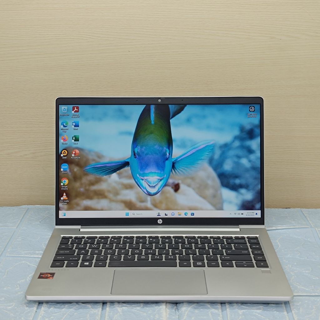LAPTOP HP PROBOOK 445 G8 AMD RYZEN 5 5600U RAM 8 GB SSD 1 TB