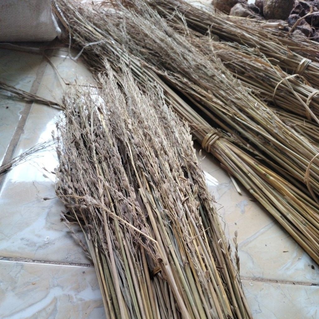 

merang padi jerami ketan hitam asli no Kawe,, jaminan