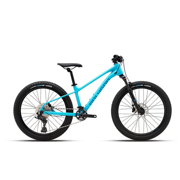 Polygon Xtrada 24 | Sepeda MTB 24 Polygon