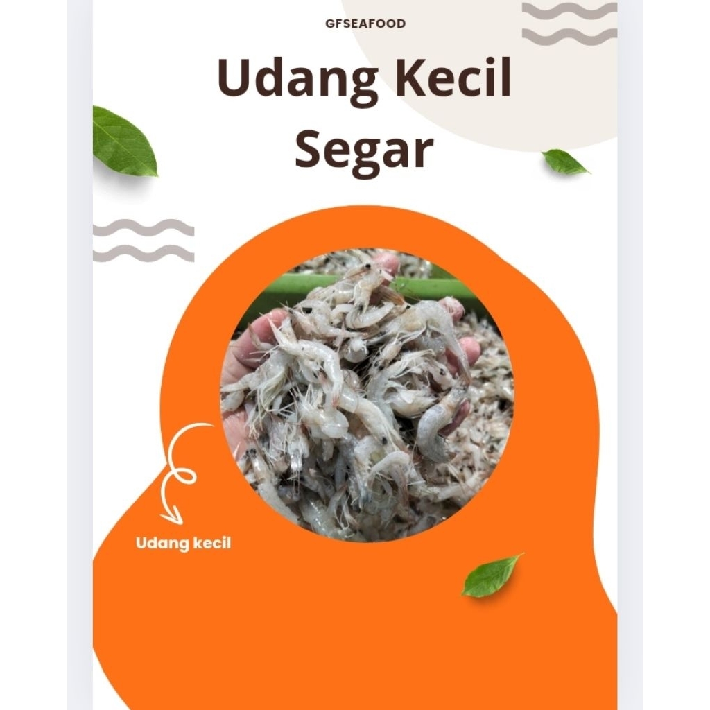 Udang Kecil Segar Bu Rudy / Udang Peyek / Udang Lontong Mie 500g