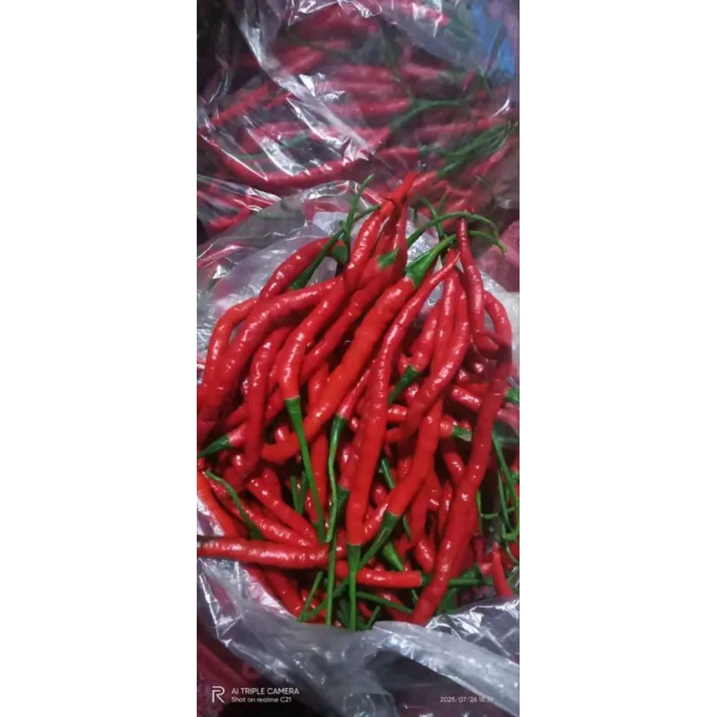 

Cabe merah keriting Ori
