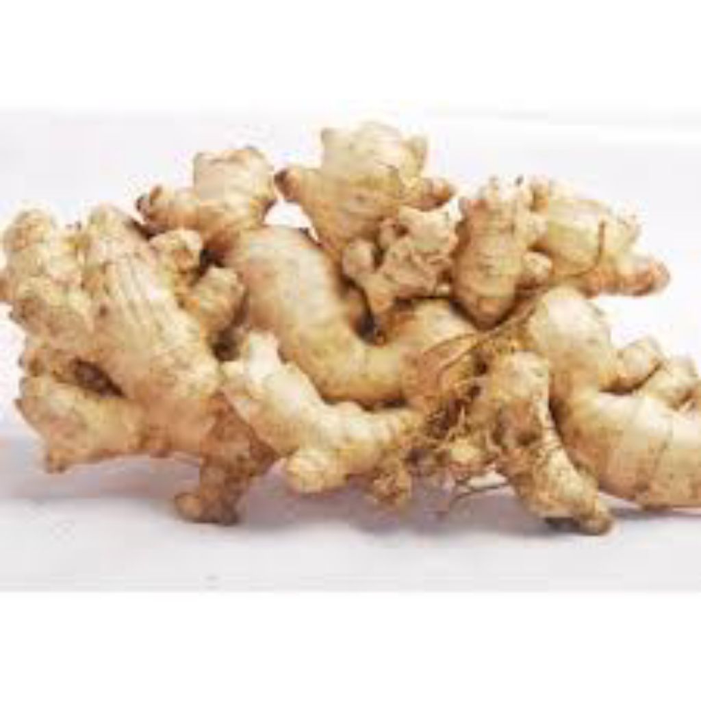 

jahe emprit segar 1kg bumbu dapur,obat tradisional