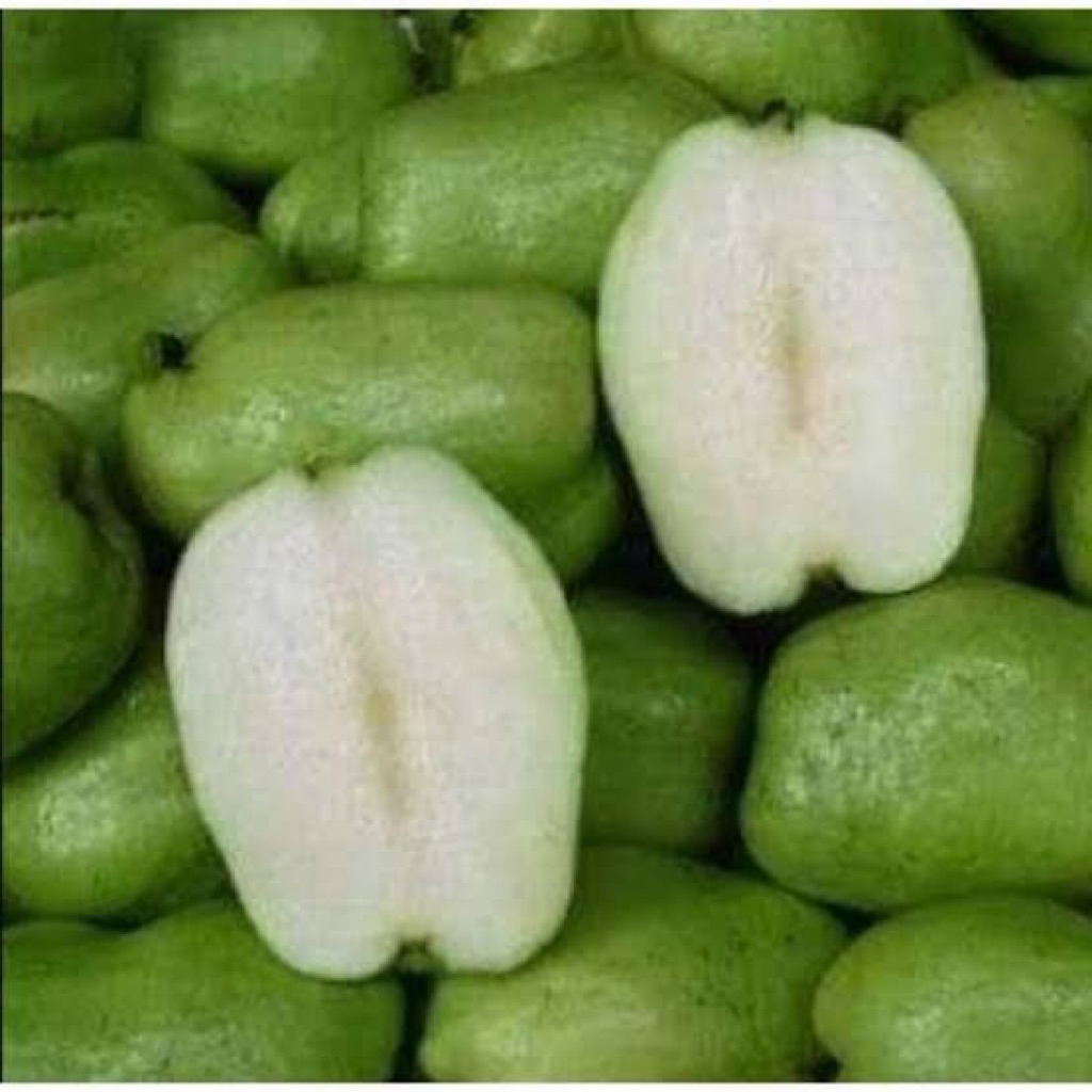 Jambu kristal cangkok