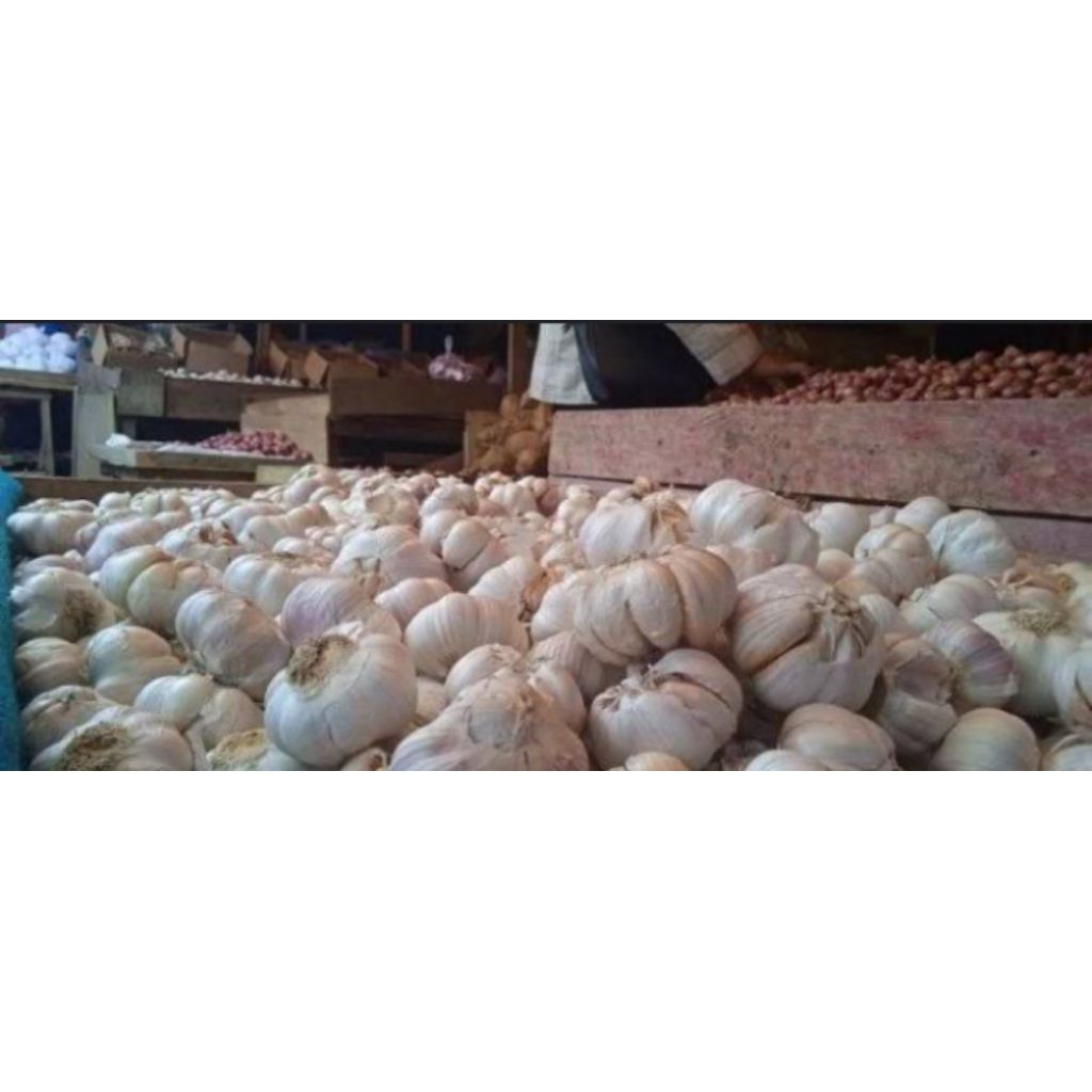 

bawang putih bulet.1kilo.pilihan