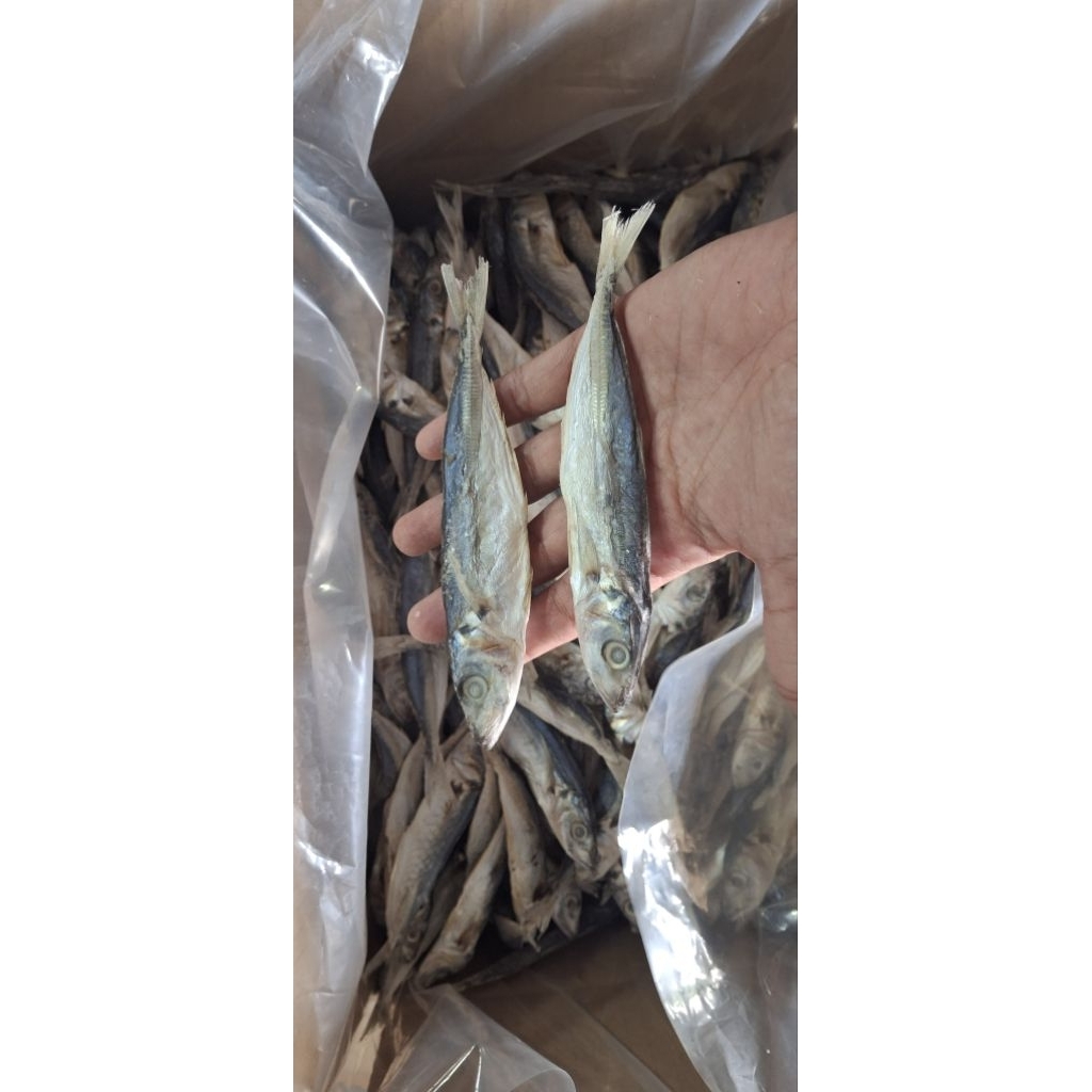 

promo layang asin layang cop klotok asin k2k enak empuk 500gr