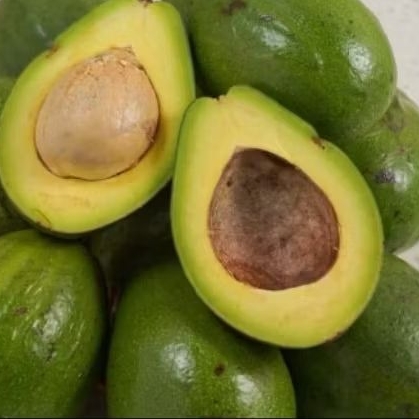 

Alpukat mentega super. pulen 1kg