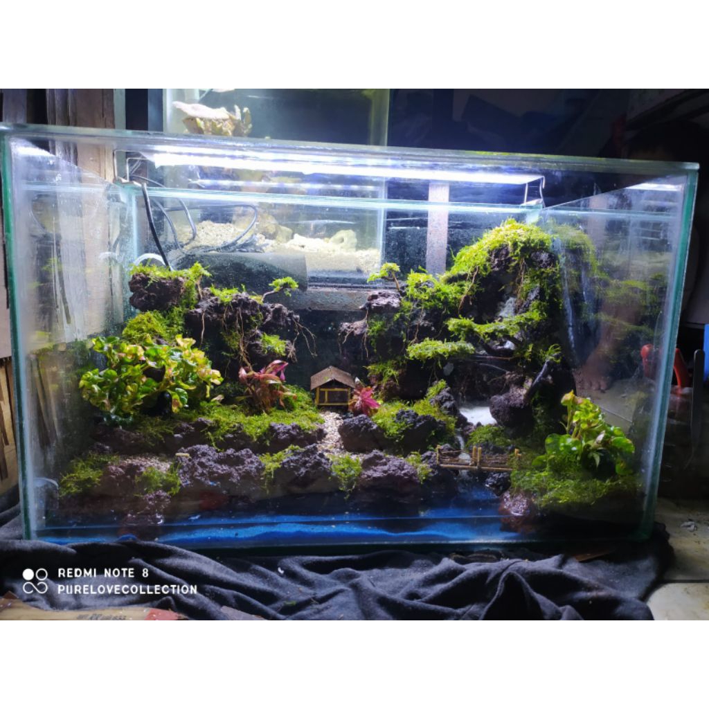 Aquarium aquascape fullset murah