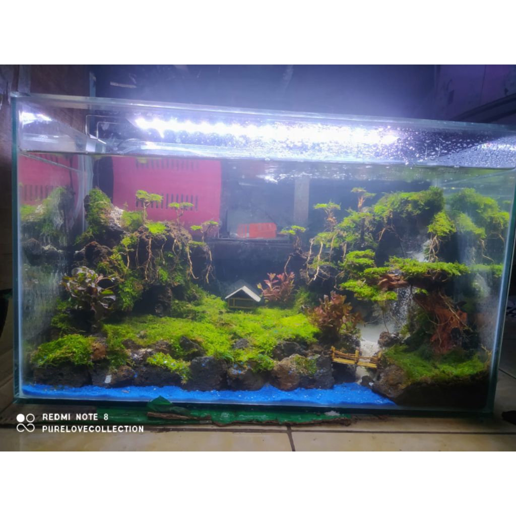 Aquarium Aquascape Waterfall fullset murah 50cm/Akuarium Aquascape Waterfall murah