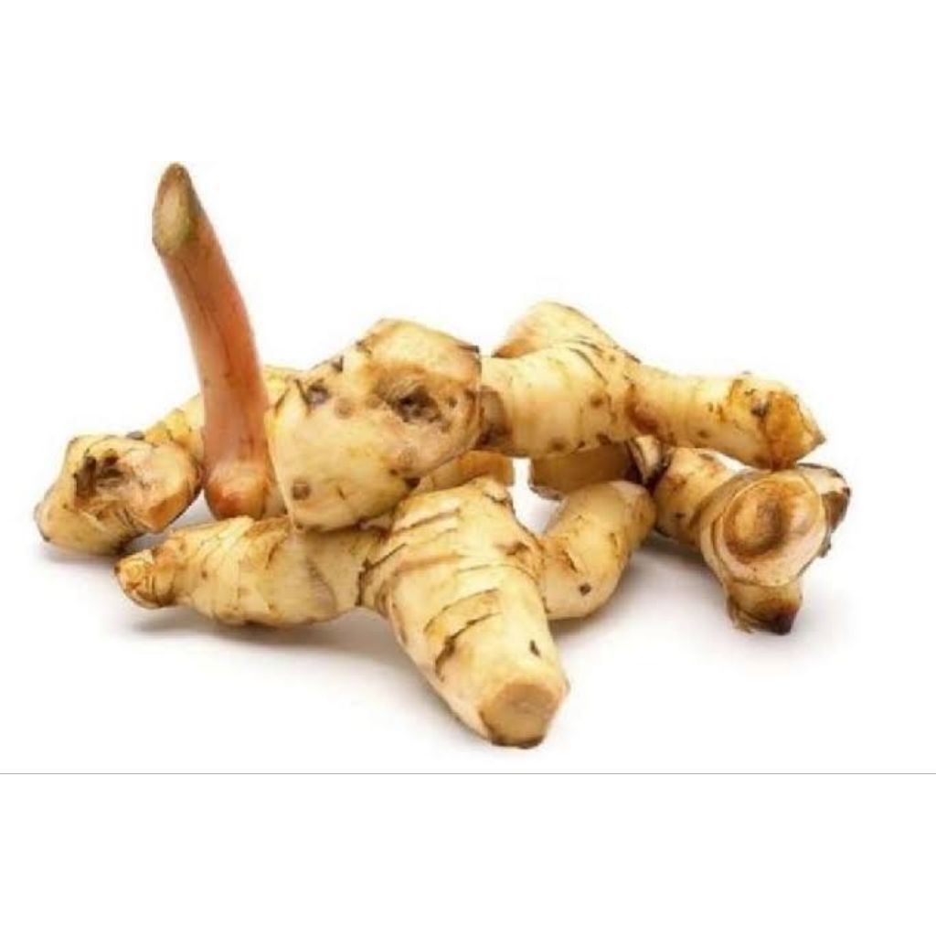 

Laos Kupas (Lengkuas kupas)