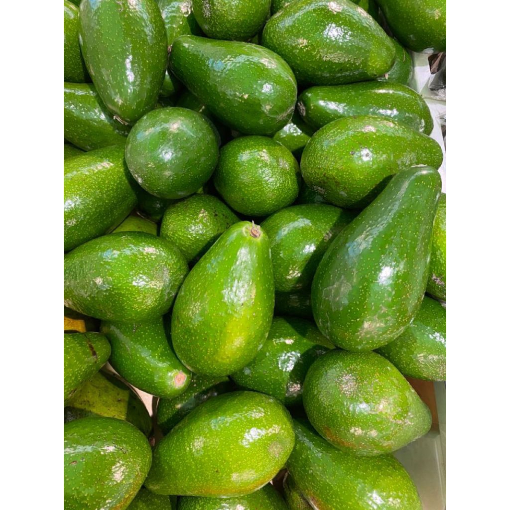 

alpukat mentega 1kg isi 3-7 biji garansi 100% jika barang jelek atau rusak