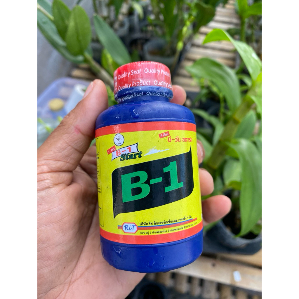 vitamin B1 thailand