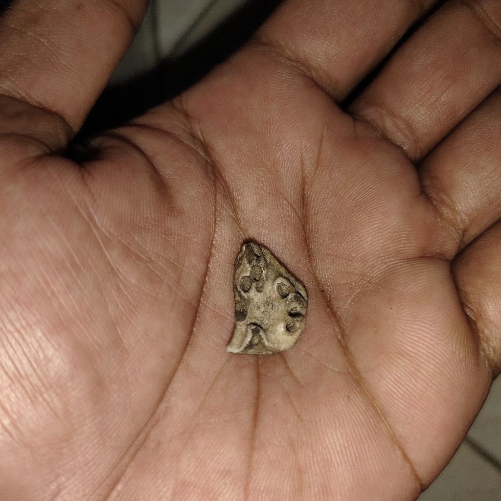 warisan mbah barang kuno mtlngsmrjhrm antik jadul