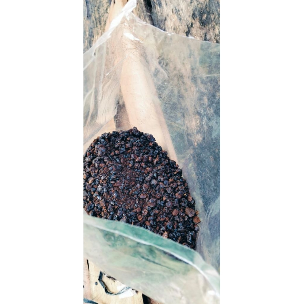 

kopi kasar Aceh Xmar