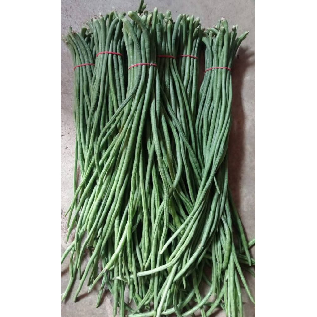 

Kacang Panjang Super 1kg