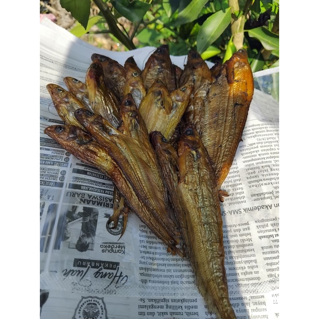 

IKAN SALAI ATAU IKAN ASAP SILAIS UKURAN SEDANG BERAT 250G-1000G