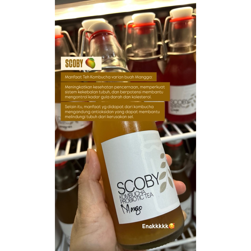 

SCOBY Mango 125ml