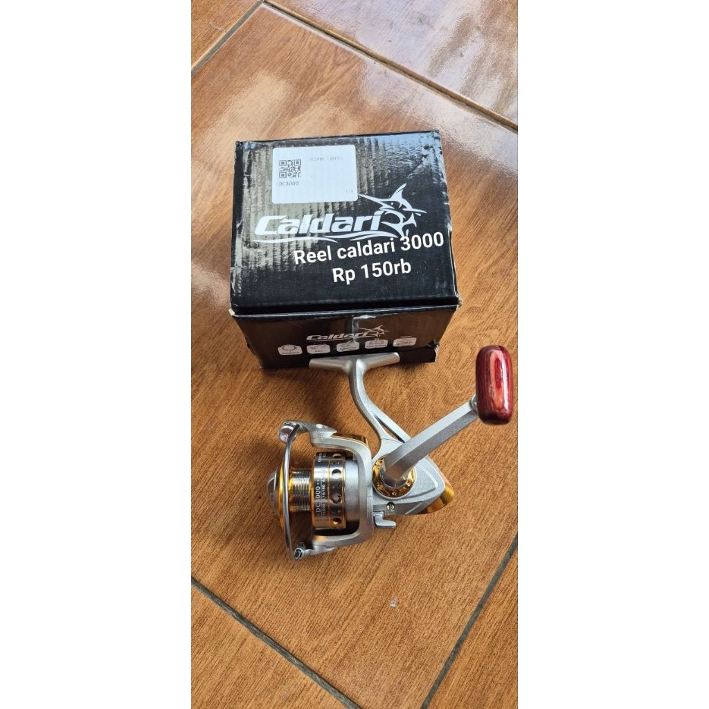 reel caldari 3000