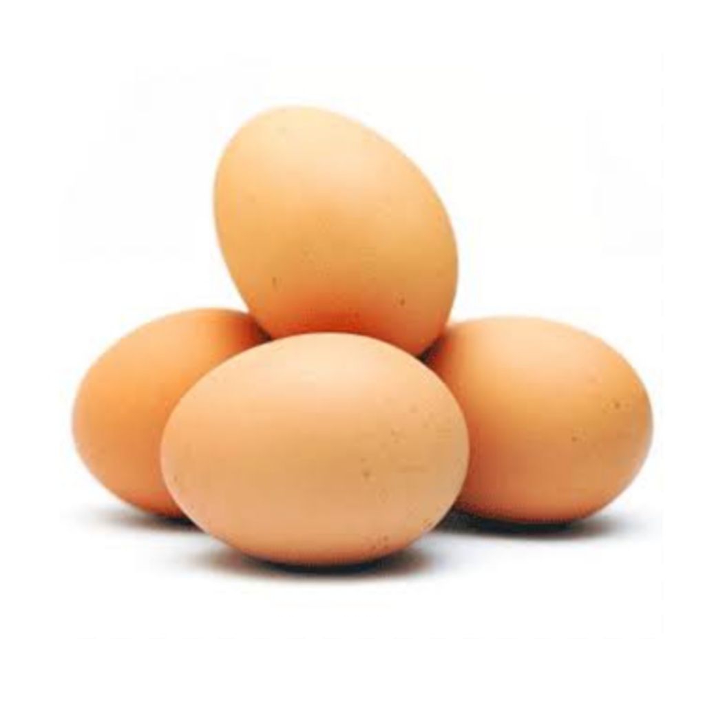 

Telur ayam eropa fresh