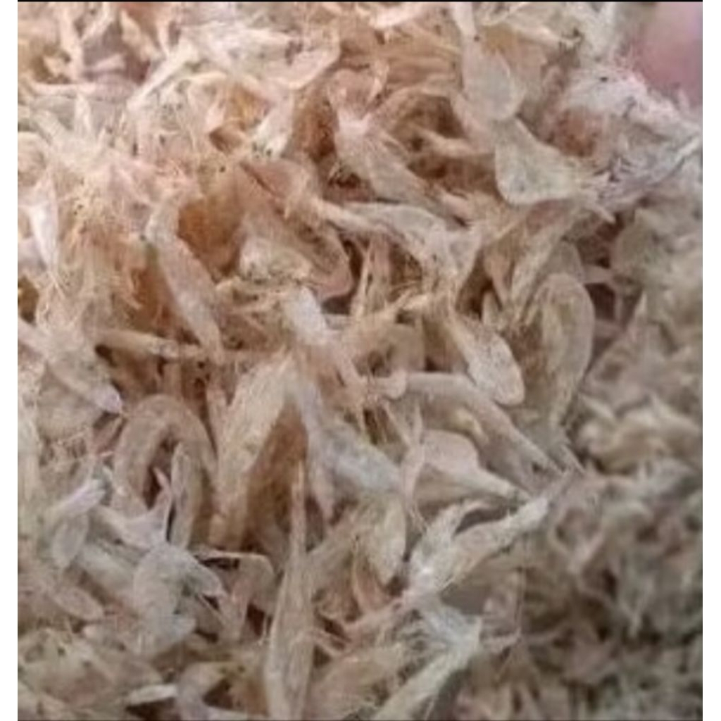 

Asin Rebon 100 gram fresh
