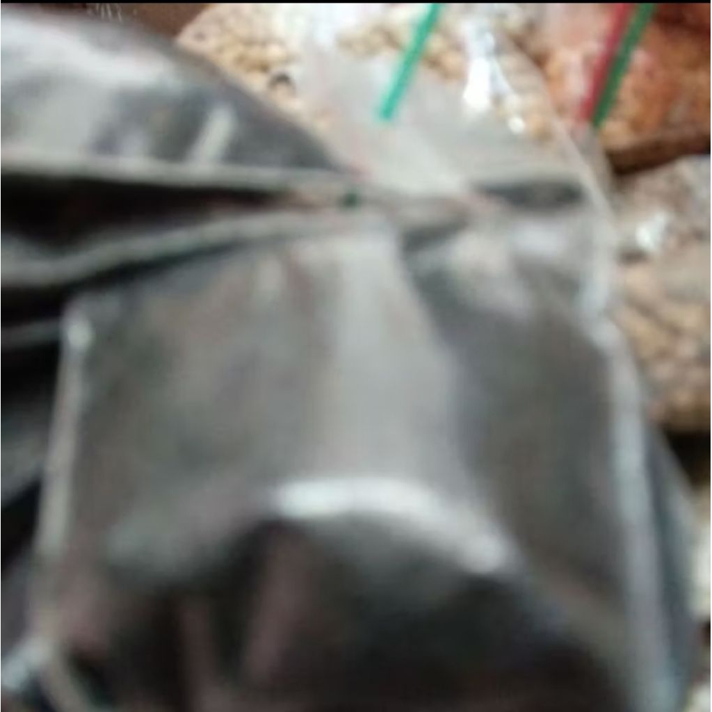 

Biji Selasih 1 Bungkus